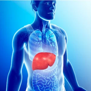 Untitled-design--2863-29-2880w