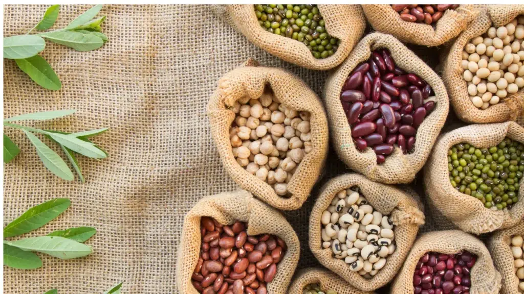 Untitleddesign 2023 07 06T183534.266 1920w