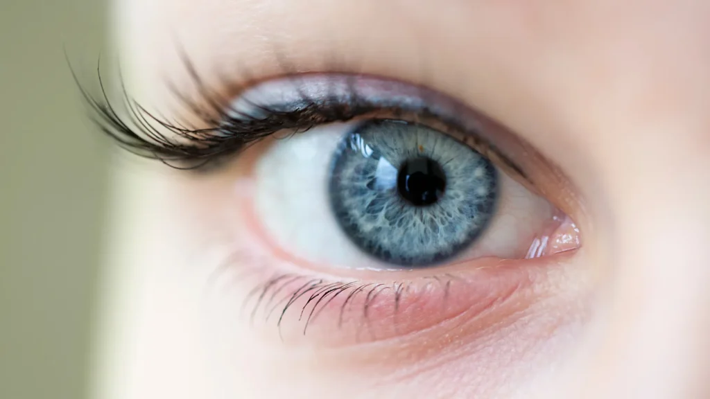 Untitleddesign13 1920w