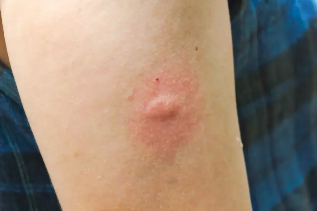 Untitled+design+(4)-2880w Untitleddesign4 2880w