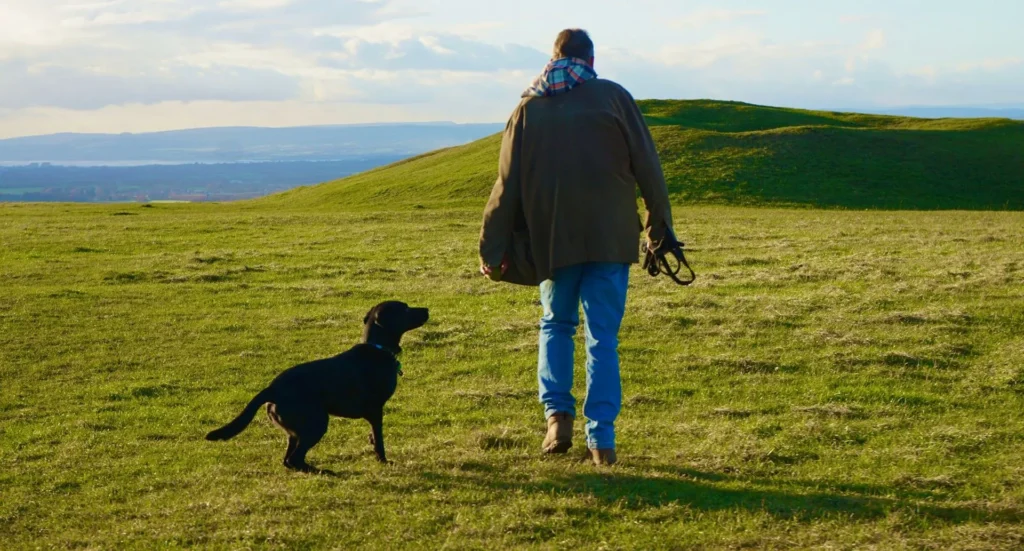 beth-macdonald-RW68ZD7nQyg-unsplash-c942e6b0-1920w beth macdonald RW68ZD7nQyg unsplash c942e6b0 1920w