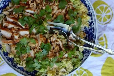 diatribechickennapa1-1920w