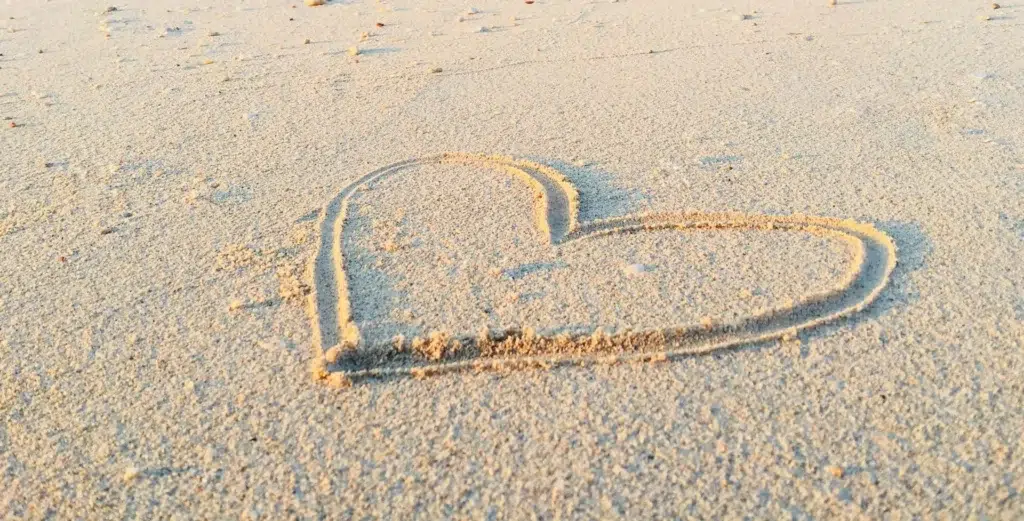 khadeeja-yasser-FHT0KEOwtyg-unsplash--281-29-1920w khadeeja yasser FHT0KEOwtyg unsplash 281 29 1920w