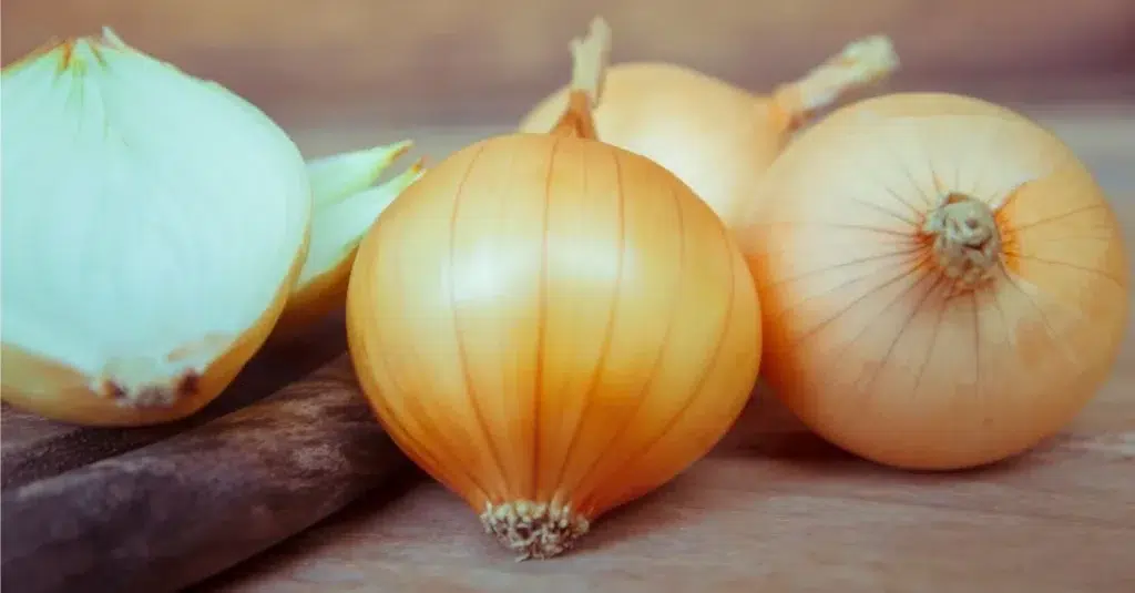 shutterstock onions FB size 1920w